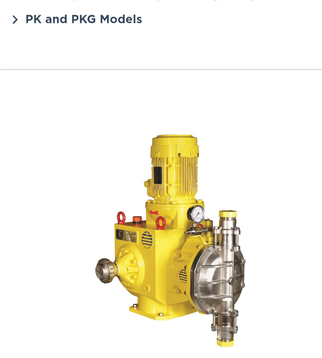 Dozing and Chemical Pumps